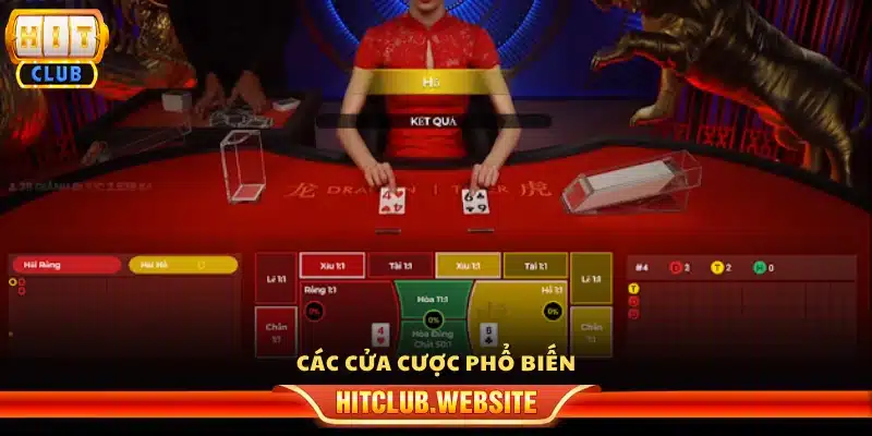 Những lựa chọn cược thường gặp